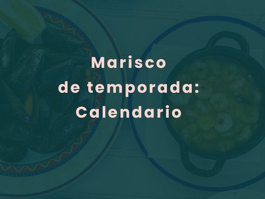 MARISCO DE TEMPORADA: CALENDARIO