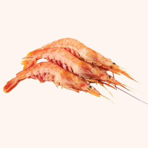 Gamba Langostinera N.2 250gr