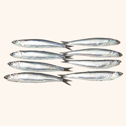 Boquerones