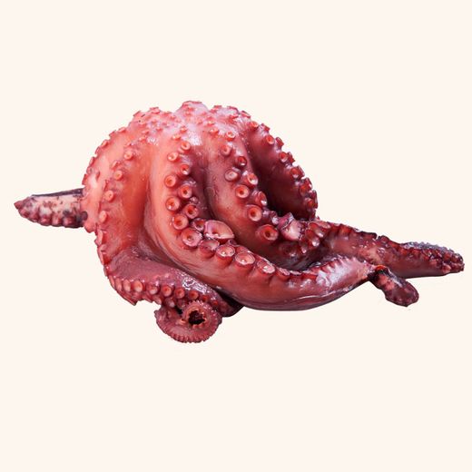 Pulpo cocido
