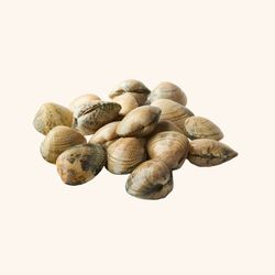 Almeja Fina Gallega (1Kg)