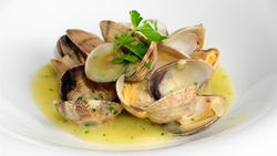 Almeja gallega de cultivo extra