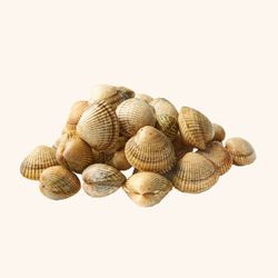 Berberecho Gallego (1kg)