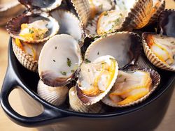 Berberecho Gallego (1kg)