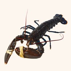 Bogavante Nacional (500g aprox)