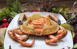 Buey de mar Vivo (500gr-700gr)