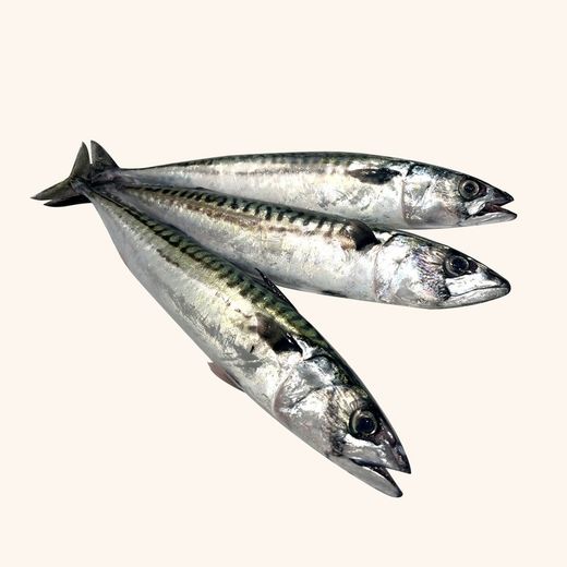 Caballa fileteada. 4 filetes. 400gramos aprox