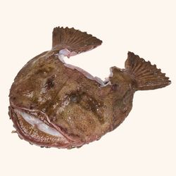 Rape Cabeza 1kg en neto