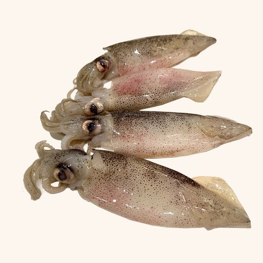 Calamarcito Playa 0.500 aprox en limpio