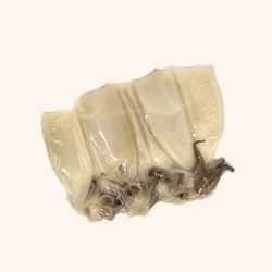 Calamarcito Playa 0.500 aprox en limpio