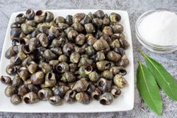 Caracolillo/Bígaro. 500gr