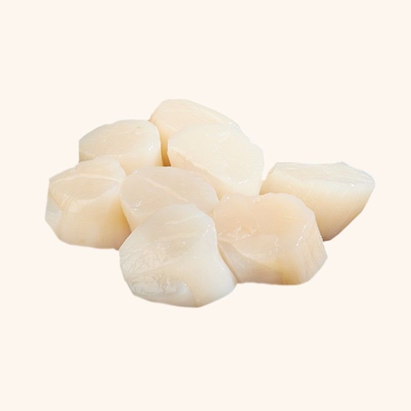 Carne de Vieira salvaje. 500gr. 12/14 unidades