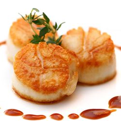 Carne de Vieira salvaje. 500gr. 12/14 unidades