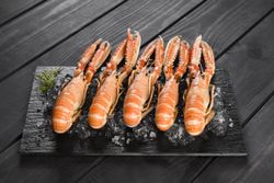 Cigala del Norte fresca. 500gr 10/12 unidades