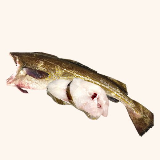 Cola De Bacalao Skrei 0.800 kg aprox.