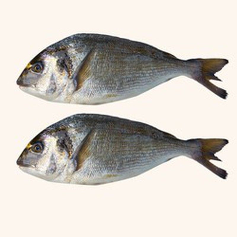Dorada Limpia y Entera 2 unidades  en Neto 1.kg aprox