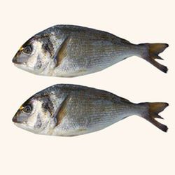 Dorada Limpia y Entera 2 unidades  en Neto 1.kg aprox