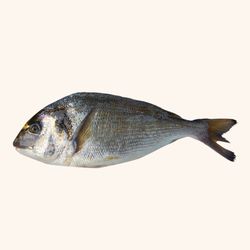 Dorada Nacional Fileteada. 4 filetes de 90gr aprox cada uno