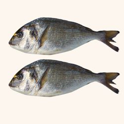 Dorada Nacional Limpia y Entera. 2 Unidades de 340gr aprox/ c/u