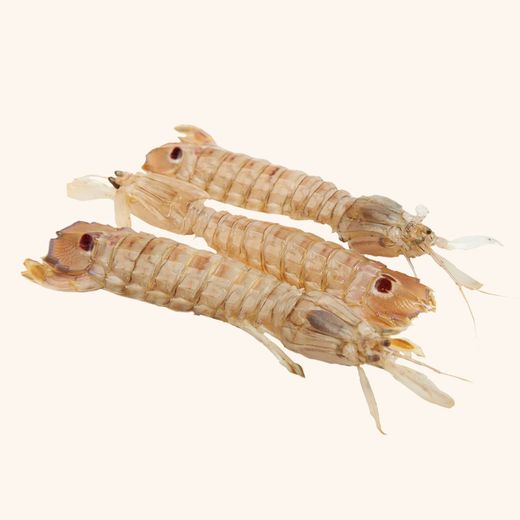 Galeras 500gr