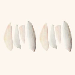 Gallo Fileteado. 8 Filetes. 400gr aprox