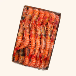 Gamba Roja de Huelva.  500 gr. A1 3 CARABELAS