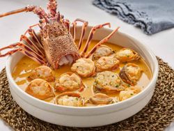 Langosta roja de Costa 600/800.kg