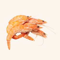 Langostino Cocido Premiun. 1kg