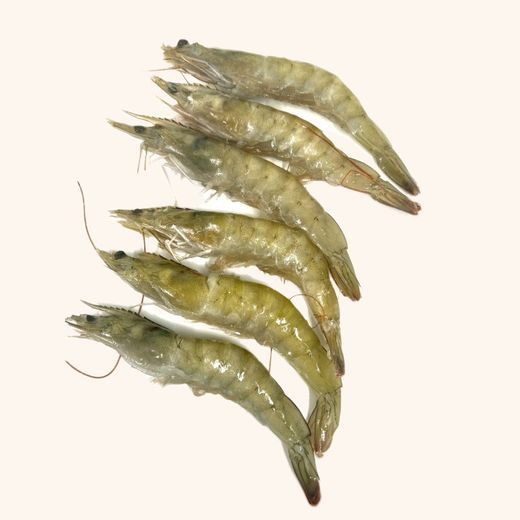 Langostino Crudo.
