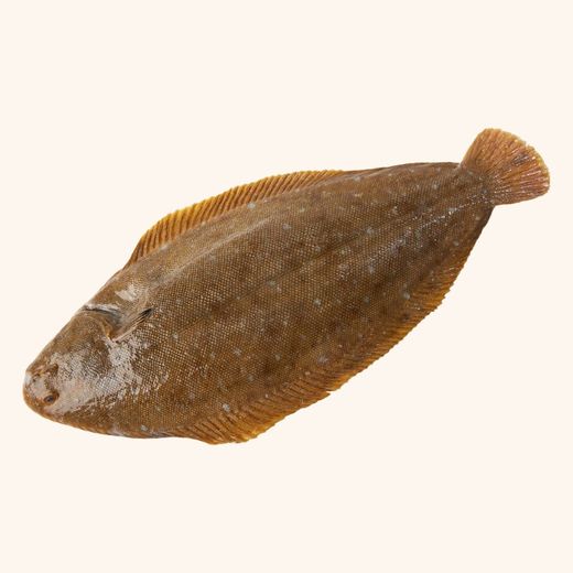 Lenguado de Costa Fileteado 4filetes.