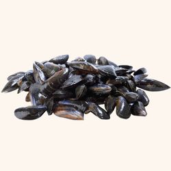 Mejillon Bouchot (1kg)