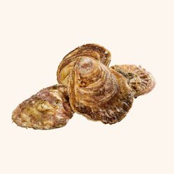 Ostra Gallega Especial (12 unidades)