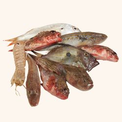 Pescado de roca. 1/2 kg.