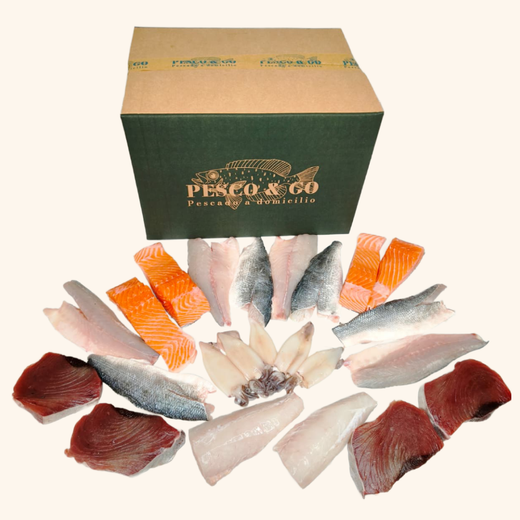 Pesco Box Básicos