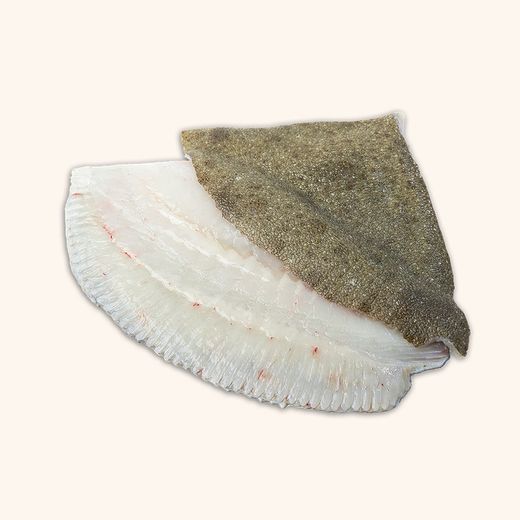 Rodaballo fileteado. 2 filetes. 200gr aprox c/u.