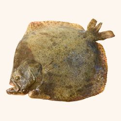 Rodaballo fileteado. 2 filetes. 200 gr aprox.