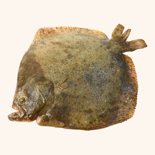 Rodaballo fileteado. 2 filetes. 200 gr aprox.