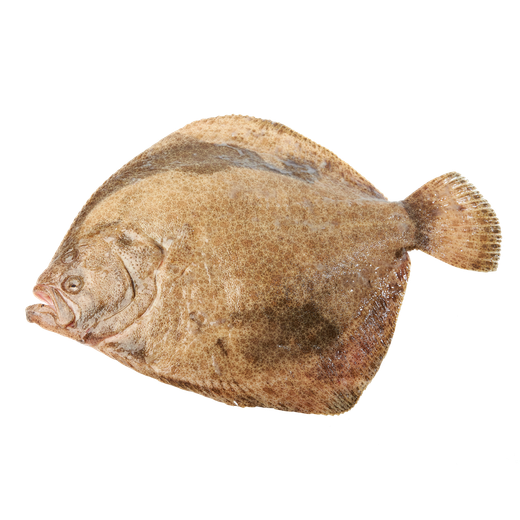 Rodaballo Salvaje  500gr
