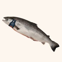 Salmón Ecologico Rage Label. lomo entero 1.5k aprox