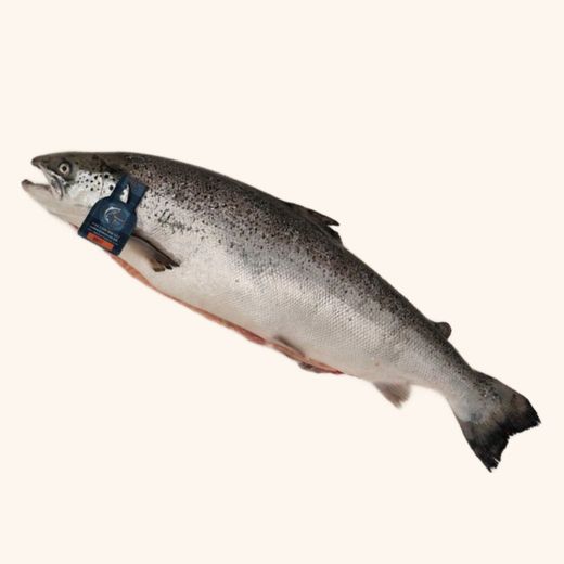 Salmón Ecologico Rage Label. lomo entero 1.5k aprox
