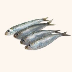 Sardina entera sin tripa. 1kg. 14/16 unidades.