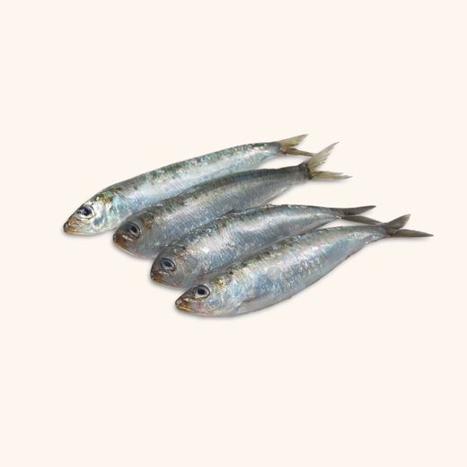 Sardina limpia sin cabeza y tripa (400).