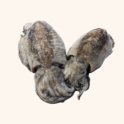 Sepia de playa troceada. 250 gr en neto