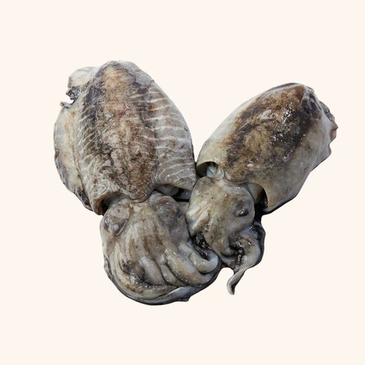 Sepia de playa troceada. 250 gr en neto